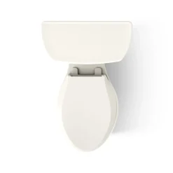 Two-piece elongated toilet, 1.6 gpf^Kohler Online