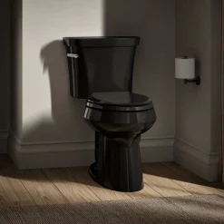 Two-piece elongated toilet, 1.6 gpf^Kohler Online
