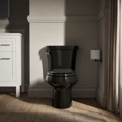Two-piece elongated toilet, 1.6 gpf^Kohler Online
