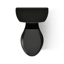 Two-piece elongated toilet, 1.6 gpf^Kohler Online