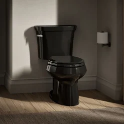 Two-piece elongated toilet, 1.6 gpf^Kohler Online