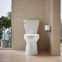 Two-piece elongated toilet with skirted trapway, 1.28 gpf^Kohler Clearance