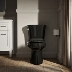 Two-piece elongated toilet with concealed trapway, 1.28 gpf^Kohler Online