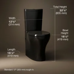Two-piece elongated toilet with skirted trapway, dual-flush^Kohler Discount