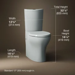 Two-piece elongated toilet with skirted trapway, dual-flush^Kohler Discount