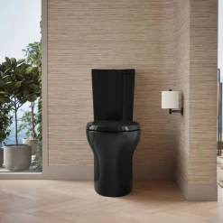 Two-piece elongated toilet with skirted trapway, dual-flush^Kohler Discount