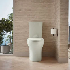 Two-piece elongated toilet with skirted trapway, dual-flush^Kohler Discount