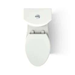 Two-piece elongated toilet with skirted trapway, dual-flush^Kohler Discount