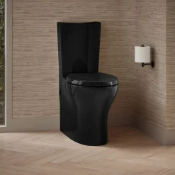 Two-piece elongated toilet with skirted trapway, dual-flush^Kohler Discount