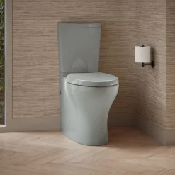 Two-piece elongated toilet with skirted trapway, dual-flush^Kohler Discount