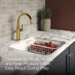 Wire sink basket for Audrine kitchen sink^Kohler Sale